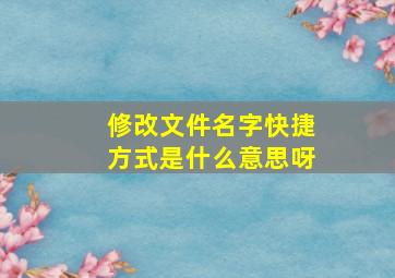 修改文件名字快捷方式是什么意思呀