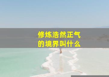 修炼浩然正气的境界叫什么