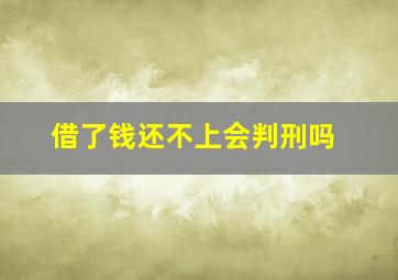 借了钱还不上会判刑吗