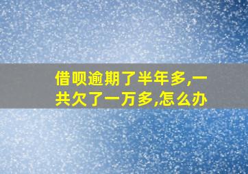 借呗逾期了半年多,一共欠了一万多,怎么办