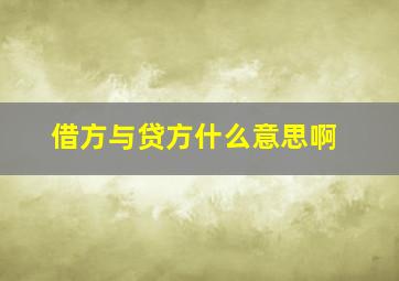 借方与贷方什么意思啊