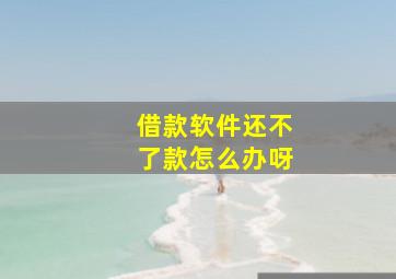 借款软件还不了款怎么办呀