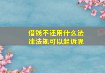 借钱不还用什么法律法规可以起诉呢