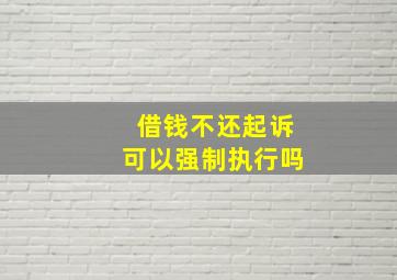 借钱不还起诉可以强制执行吗