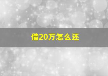 借20万怎么还