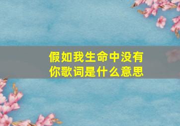 假如我生命中没有你歌词是什么意思