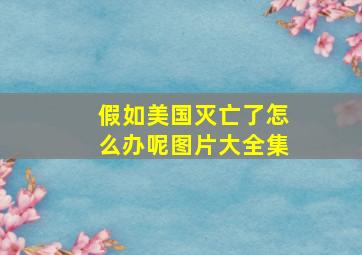 假如美国灭亡了怎么办呢图片大全集