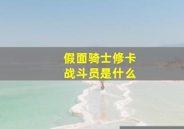 假面骑士修卡战斗员是什么