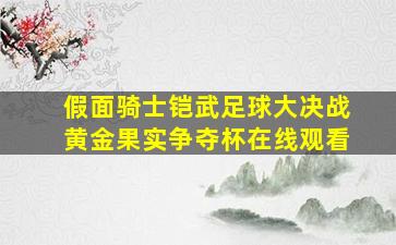 假面骑士铠武足球大决战黄金果实争夺杯在线观看