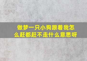 做梦一只小狗跟着我怎么赶都赶不走什么意思呀