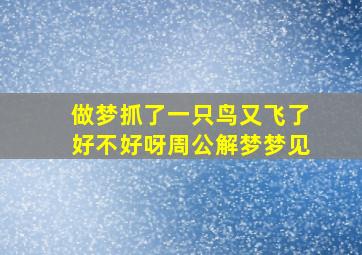 做梦抓了一只鸟又飞了好不好呀周公解梦梦见