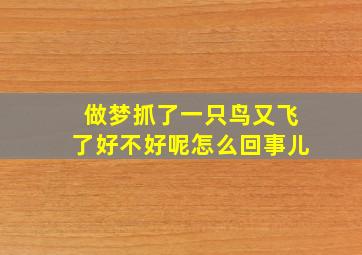 做梦抓了一只鸟又飞了好不好呢怎么回事儿