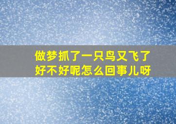 做梦抓了一只鸟又飞了好不好呢怎么回事儿呀