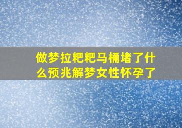 做梦拉粑粑马桶堵了什么预兆解梦女性怀孕了