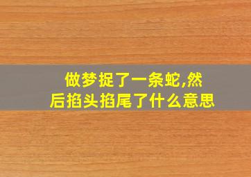 做梦捉了一条蛇,然后掐头掐尾了什么意思