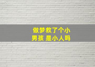 做梦救了个小男孩 是小人吗