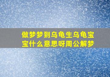 做梦梦到乌龟生乌龟宝宝什么意思呀周公解梦