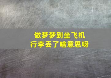 做梦梦到坐飞机行李丢了啥意思呀