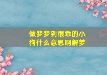 做梦梦到很乖的小狗什么意思啊解梦