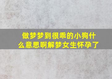 做梦梦到很乖的小狗什么意思啊解梦女生怀孕了