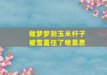 做梦梦到玉米杆子被雪盖住了啥意思