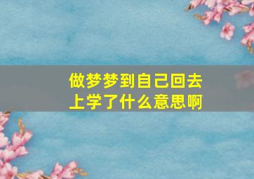 做梦梦到自己回去上学了什么意思啊