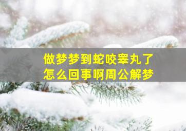 做梦梦到蛇咬睾丸了怎么回事啊周公解梦