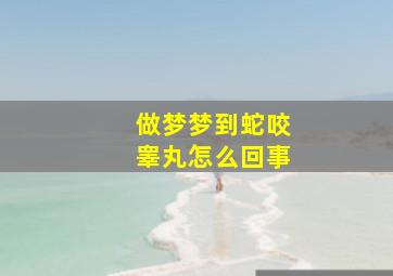 做梦梦到蛇咬睾丸怎么回事