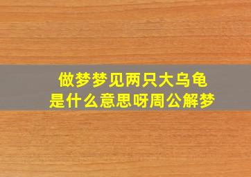 做梦梦见两只大乌龟是什么意思呀周公解梦