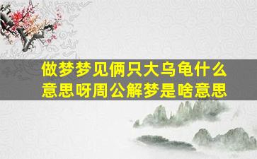 做梦梦见俩只大乌龟什么意思呀周公解梦是啥意思