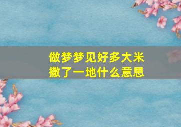 做梦梦见好多大米撒了一地什么意思