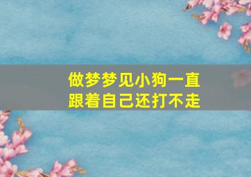 做梦梦见小狗一直跟着自己还打不走