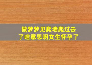 做梦梦见爬墙爬过去了啥意思啊女生怀孕了