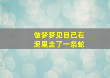 做梦梦见自己在泥里走了一条蛇