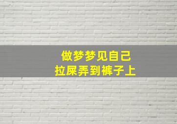 做梦梦见自己拉屎弄到裤子上