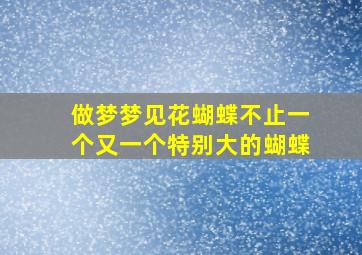 做梦梦见花蝴蝶不止一个又一个特别大的蝴蝶