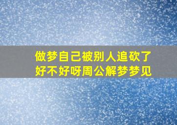 做梦自己被别人追砍了好不好呀周公解梦梦见