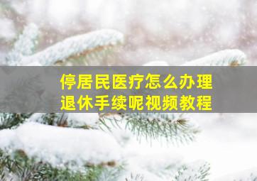 停居民医疗怎么办理退休手续呢视频教程