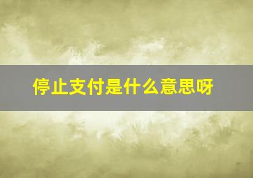 停止支付是什么意思呀