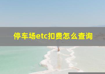 停车场etc扣费怎么查询