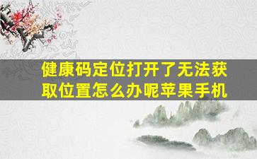 健康码定位打开了无法获取位置怎么办呢苹果手机