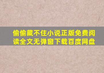 偷偷藏不住小说正版免费阅读全文无弹窗下载百度网盘