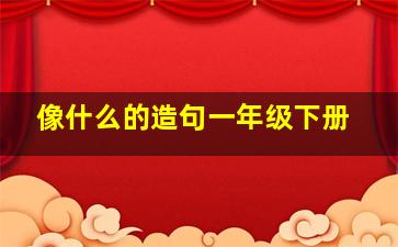 像什么的造句一年级下册