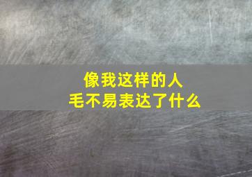 像我这样的人 毛不易表达了什么