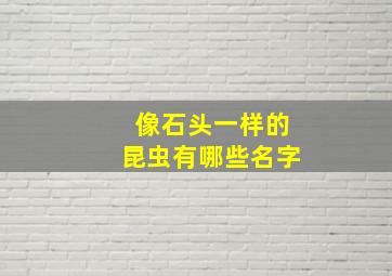 像石头一样的昆虫有哪些名字