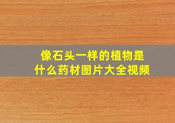 像石头一样的植物是什么药材图片大全视频