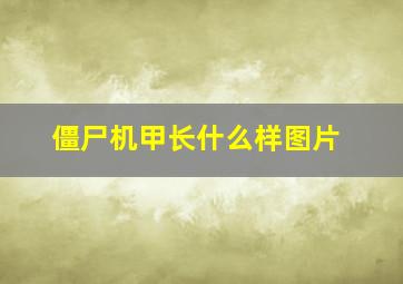 僵尸机甲长什么样图片