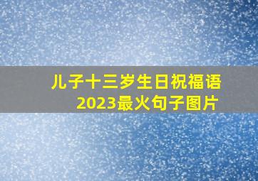 儿子十三岁生日祝福语2023最火句子图片