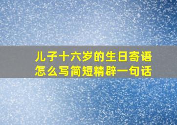 儿子十六岁的生日寄语怎么写简短精辟一句话