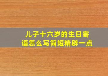 儿子十六岁的生日寄语怎么写简短精辟一点